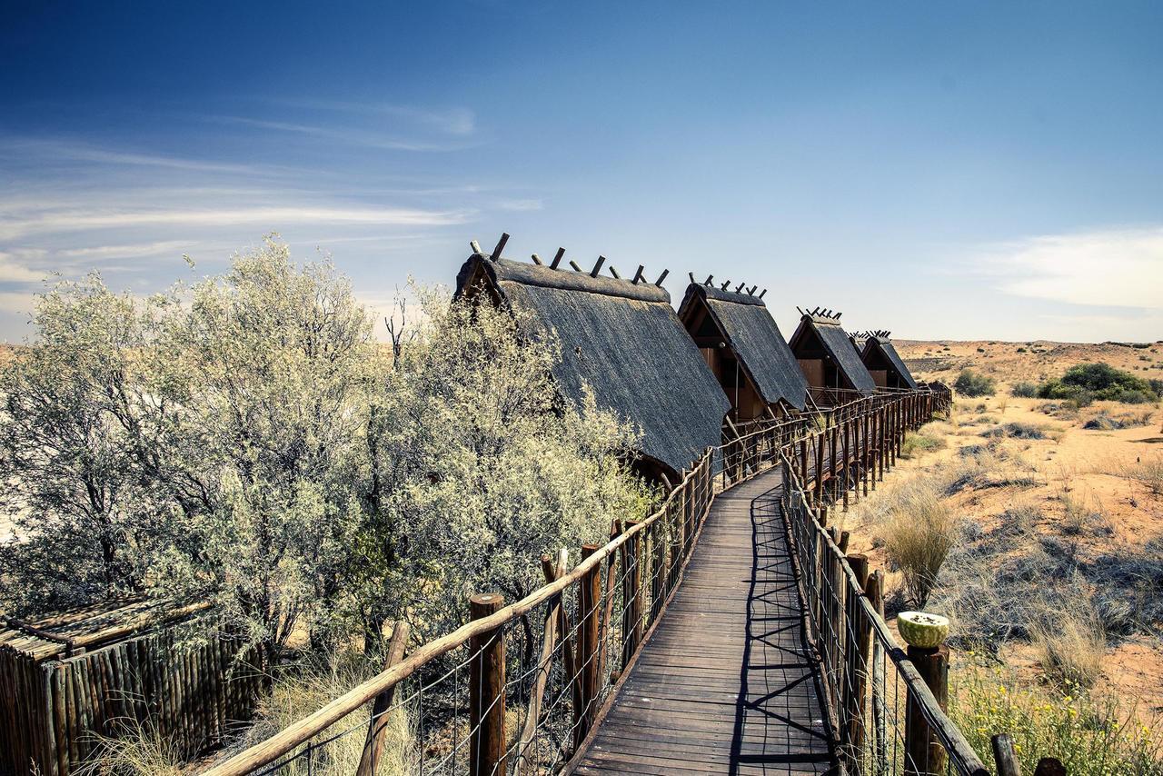 Xaus Lodge Twee Rivieren Kültér fotó